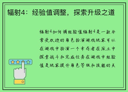 辐射4：经验值调整，探索升级之道